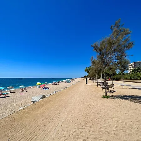 Apartment Beachfront Gateway In Pineda de Mar